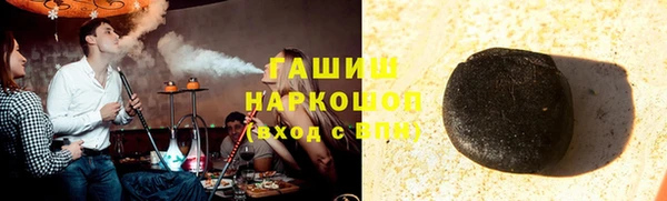 индика Каменногорск
