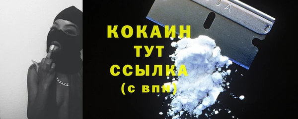 мдпв Вязники
