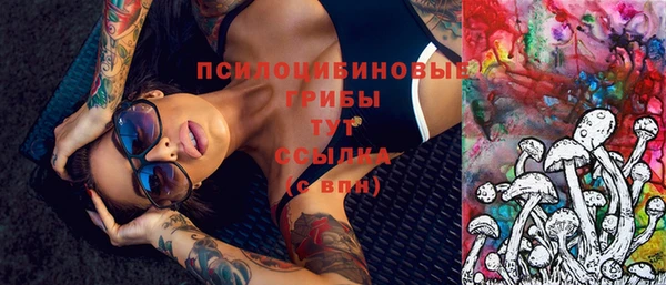 мдпв Вязники