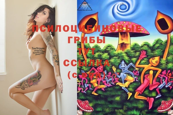 мдпв Вязники
