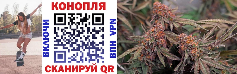 Бошки марихуана OG Kush Каргополь